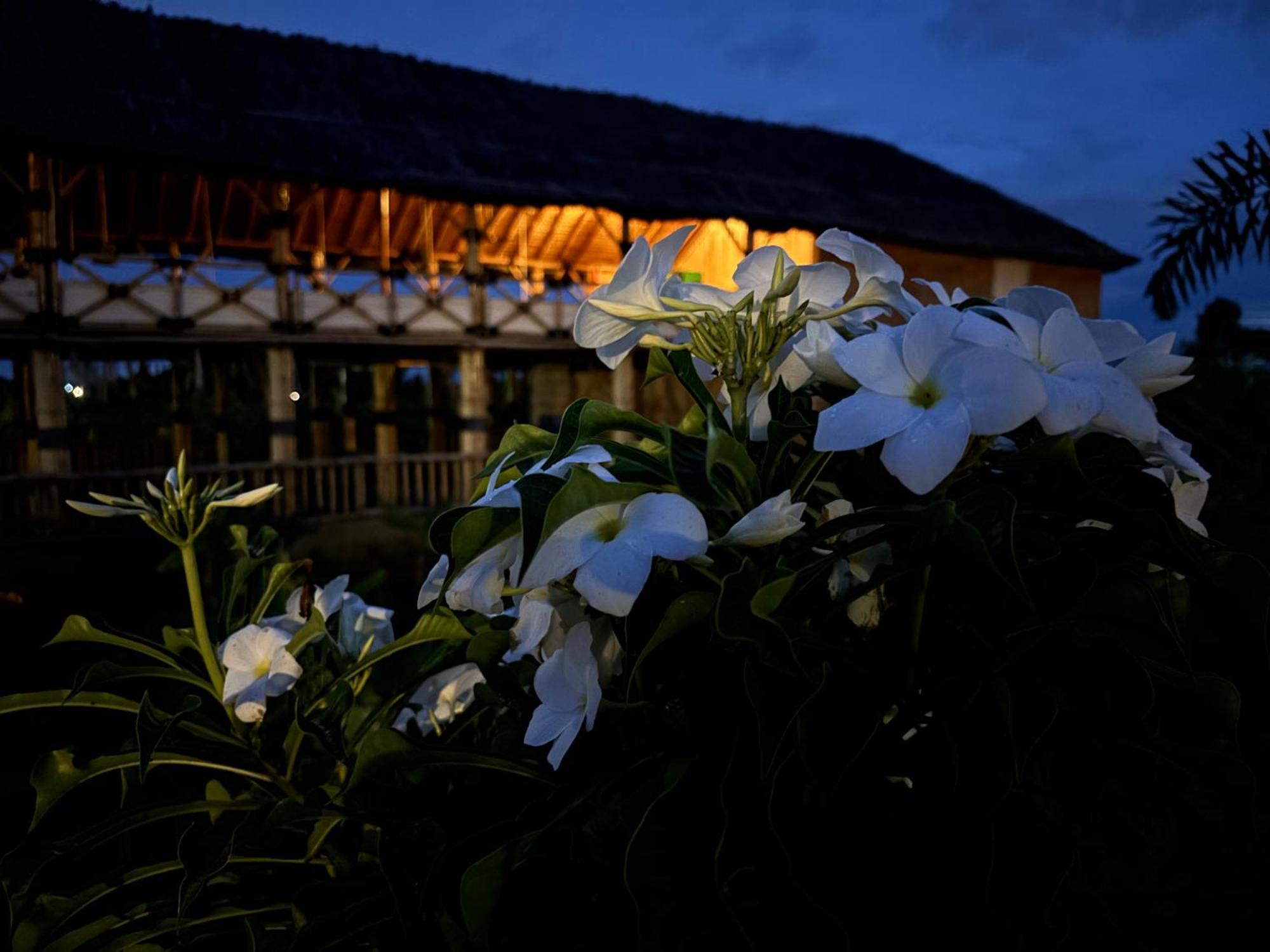 Mowgli'S Cafe Hampi & Guest House エクステリア 写真