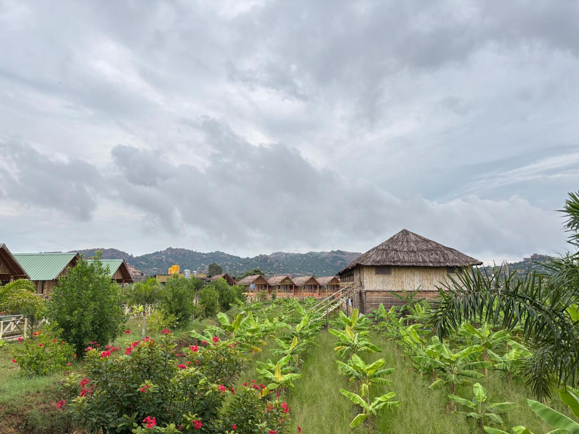 Mowgli'S Cafe Hampi & Guest House エクステリア 写真