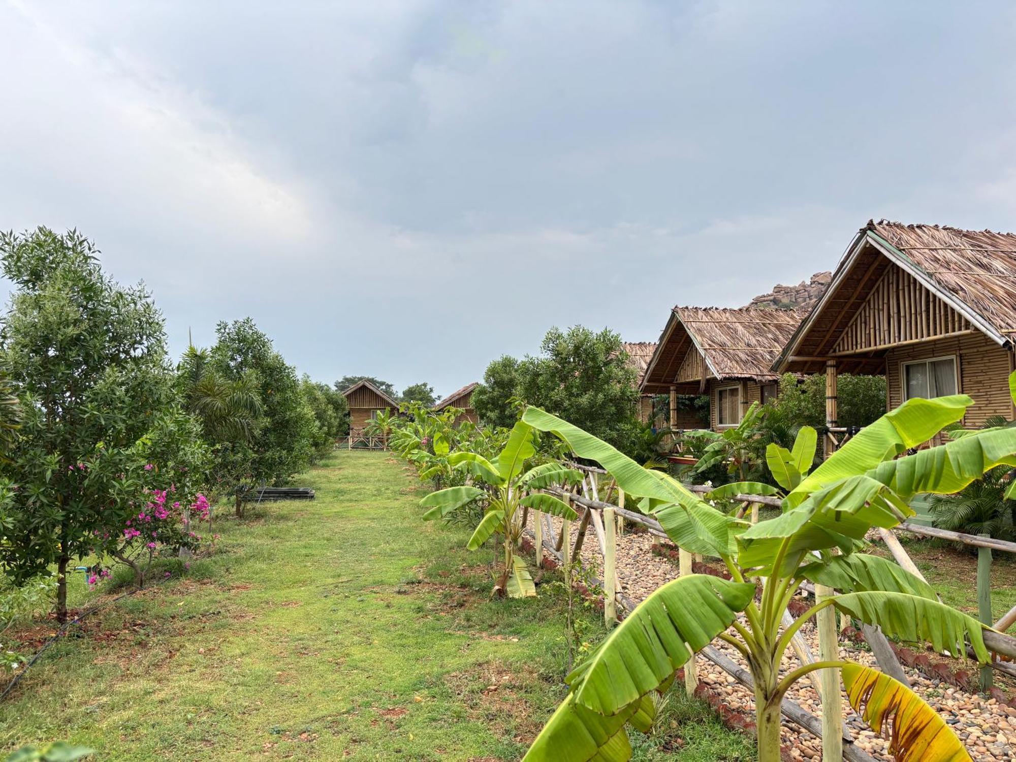Mowgli'S Cafe Hampi & Guest House エクステリア 写真